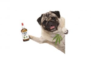 cbd for dogs Frederick MD
